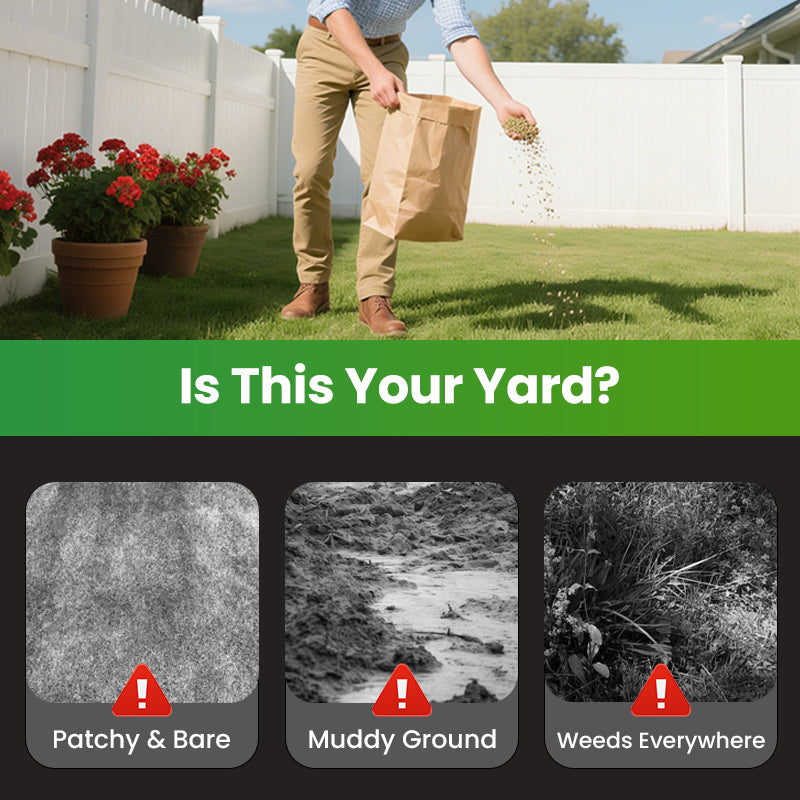 Grass Seeds for Lawn and Golf Course