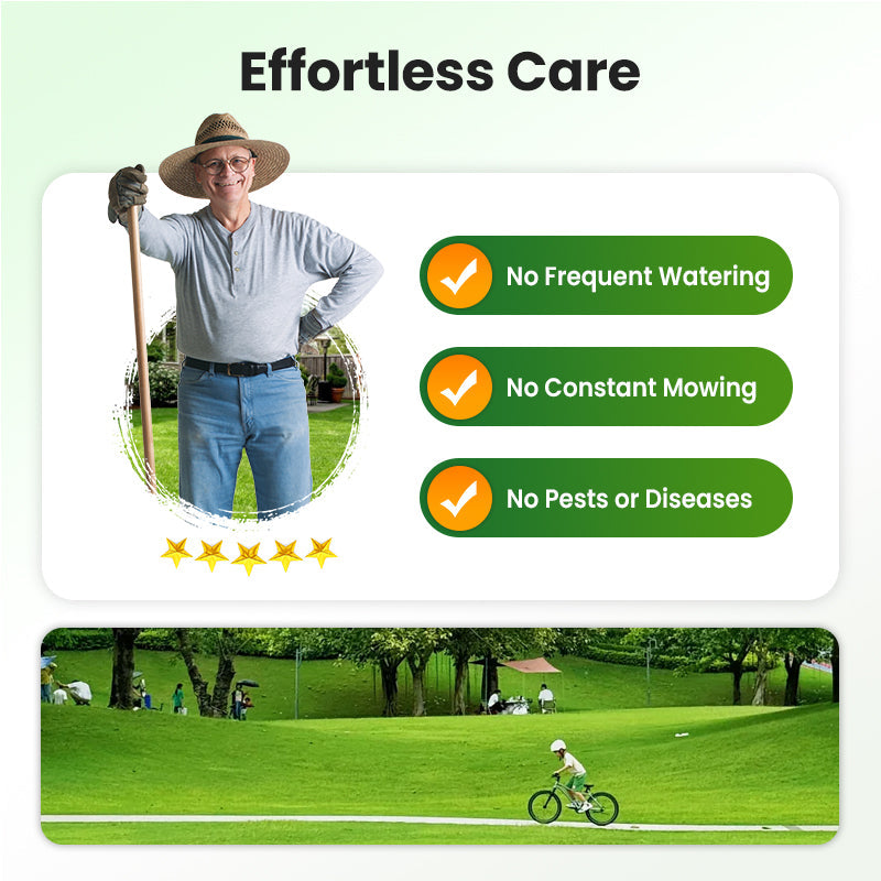 Grass Seeds for Lawn and Golf Course