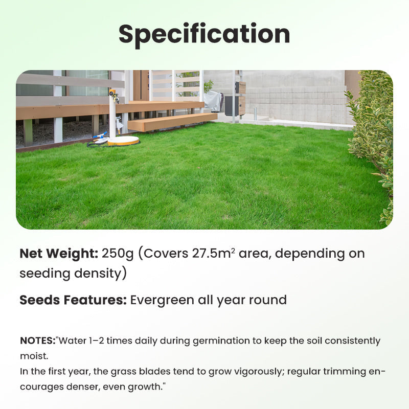 Grass Seeds for Lawn and Golf Course