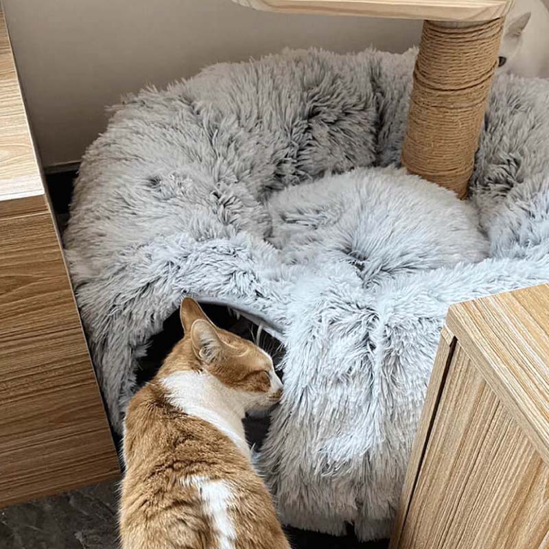 2-in-1 Foldable Indoor Soft Round Cat Tunnel Bed