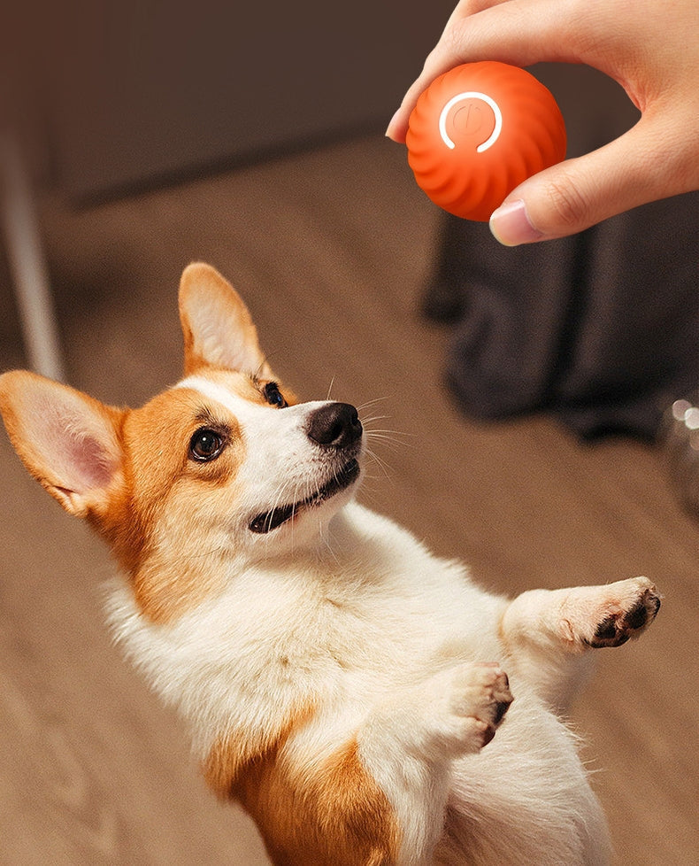 Active Rolling Ball Anti-Anxiety Automatic Moving Ball