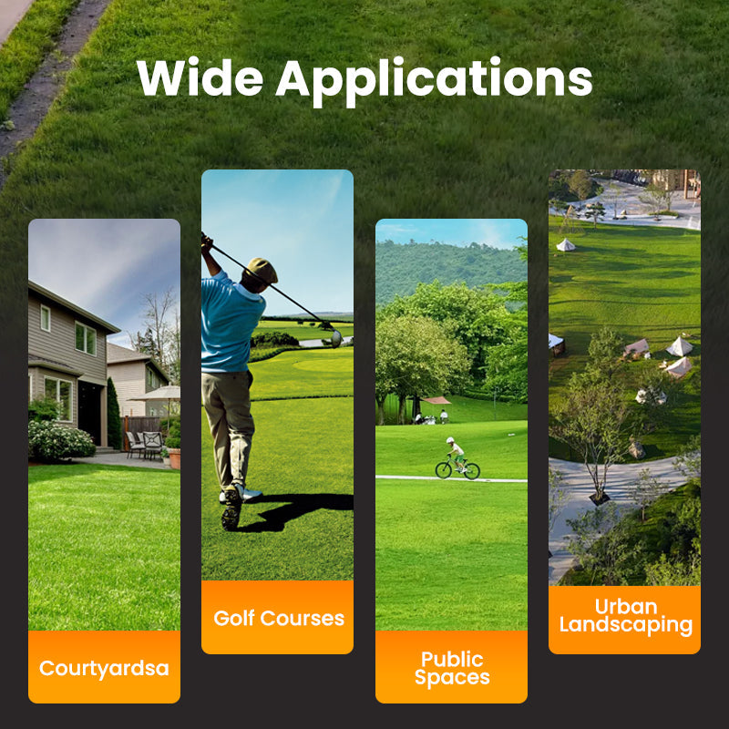 Grass Seeds for Lawn and Golf Course