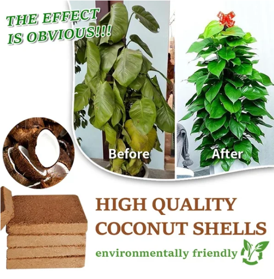 🎁Hot Sale 🌱Organic Coconut Coir for Plants