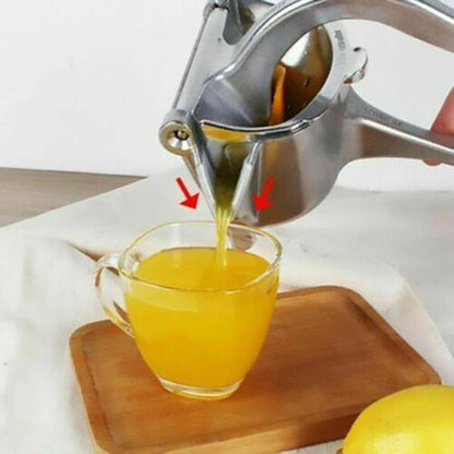 Stainless Steel Juicer