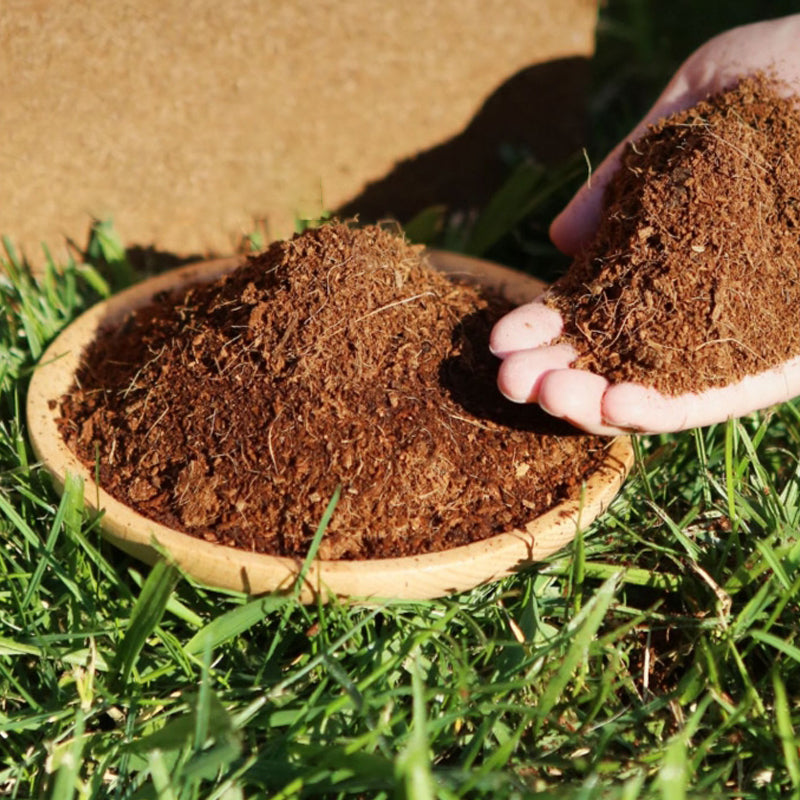 🎁Hot Sale 🌱Organic Coconut Coir for Plants