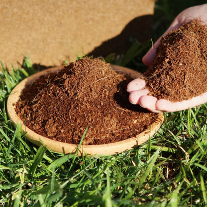 🎁Hot Sale 🌱Organic Coconut Coir for Plants