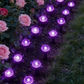 💡☀️ Solar Powered Garden Pathway Lights – Auto On/Off, Weatherproof & Perfect for Walkways & Yard Decoration 🏡
