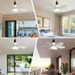 🔥SmartBreez 40W LED Ceiling Fan Light – 20.5 Ultra-Quiet with Remote 🎯 | E27 + FREE B22 Adapter 🔌