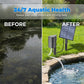 Over 50,000 units sold! 💧🐟 Solar Pond Aerator with Air Pump